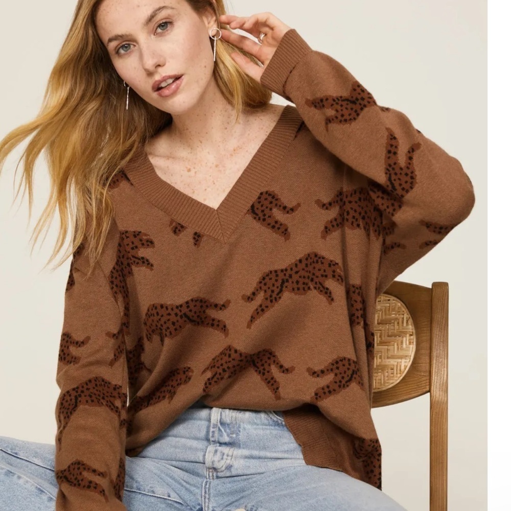 Show me your mumu Gilligan jumping cheetah sweater - Picture 4 of 11